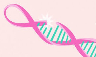 Borstkanker en erfelijkheid  Borstkanker en erfelijkheid